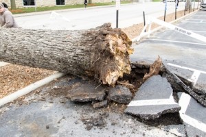 The asphalt is uplifted as a result of the collapse.