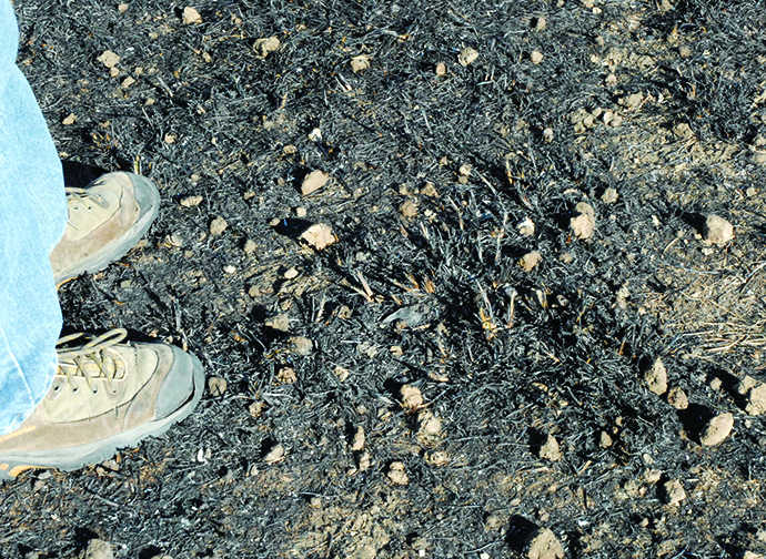 Rick Hanks, a Hughesville resident who owns Beau Solais mushroom farm, stands on the charred ground on his brother-in-law David Williams’s farm were the blast took place. Clods of clay were blown out from under the topsoil littering the grounds with sub-soil debris.