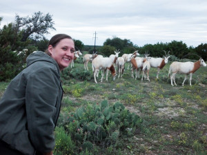 PHOTO SUBMITTED BY DAWN PAULING Dawn Pauling with scimitar-horned oryx at the Fossil Rim Wildlife Center in Glen Rose, Texas.